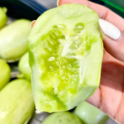 Premium Jade Mini Cucumber Seeds | High Yield | Kitchen Garden Seeds