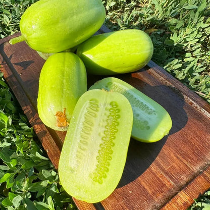 Premium Jade Mini Cucumber Seeds | High Yield | Kitchen Garden Seeds